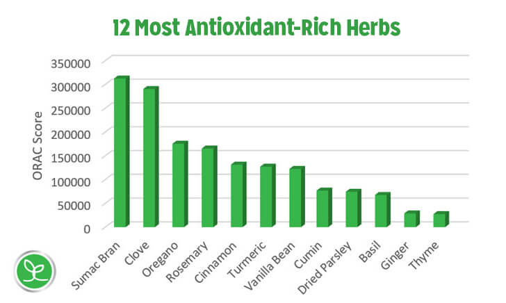 Top 12 Antioxidant-Rich Herbs
